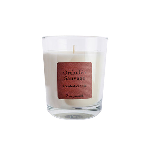 Orchidée sauvage