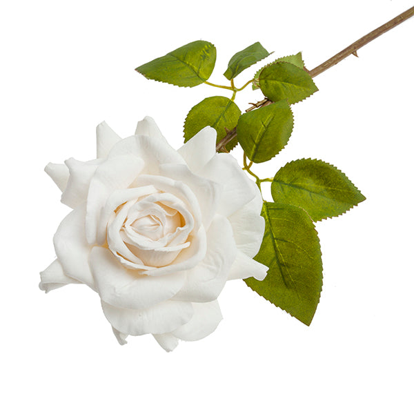 branche rose