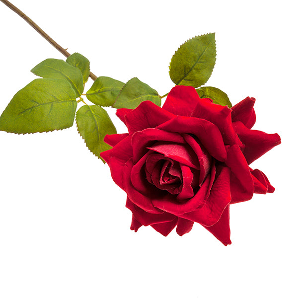 Rama Rosa Roja