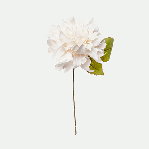 Dahlia pick