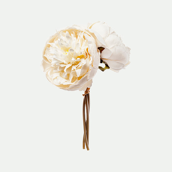 Peony bundle