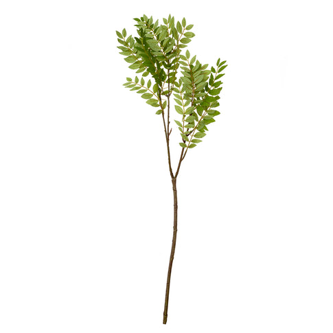 Serbal bladeren