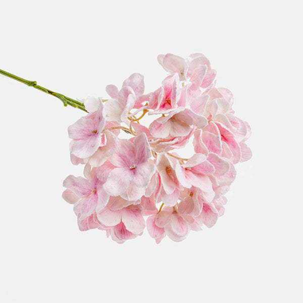 Hortensia 62Cm Rs.