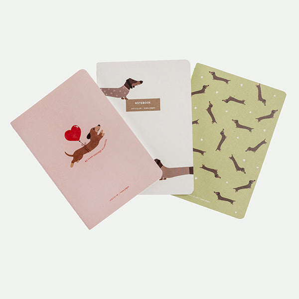 Pack 3 libretas