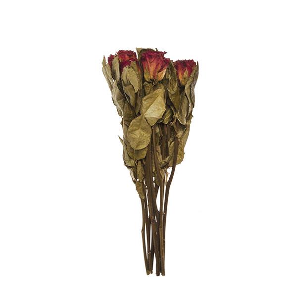 Dried Rose Stem