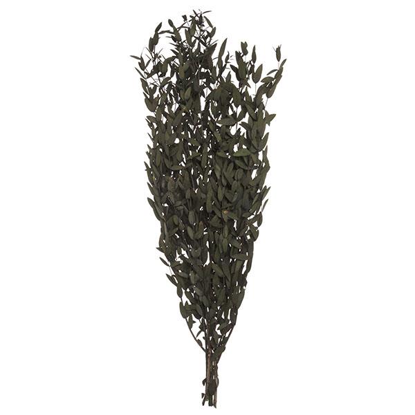 BOUQUET DI FOGLIE SELVATICA ESSICCATE