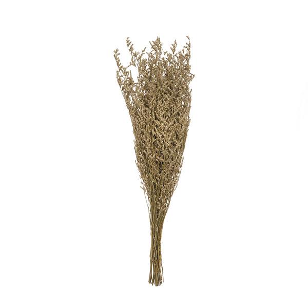 Mazzo di fiori secchi del Caspio
