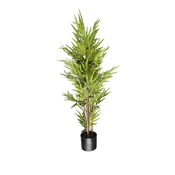 Arbol bambu