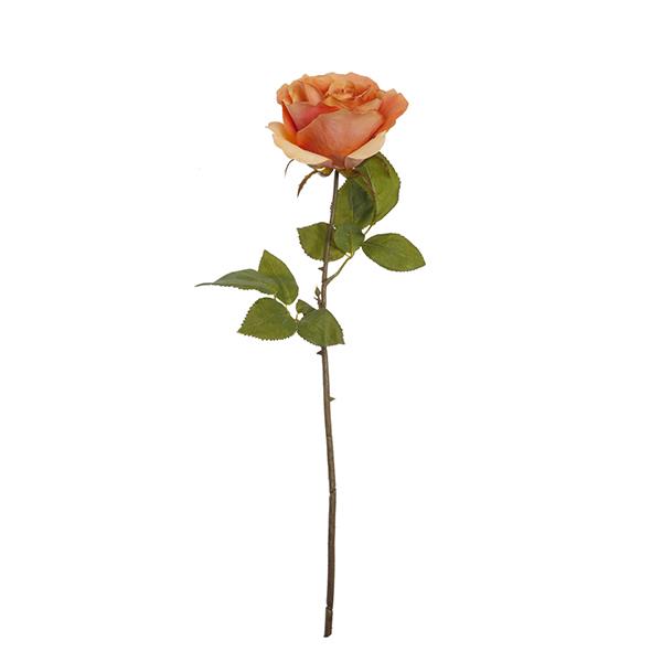 Ramo rosa