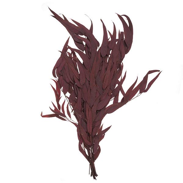 Dried Flower Bouquet