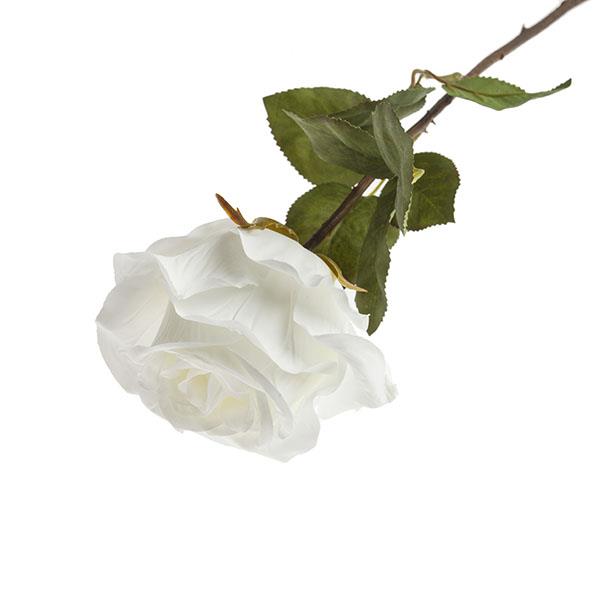 Rama rosa