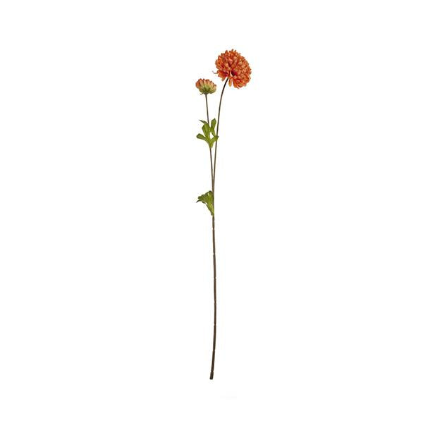 mum branch