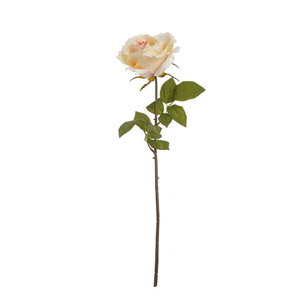 Ramo Rosa