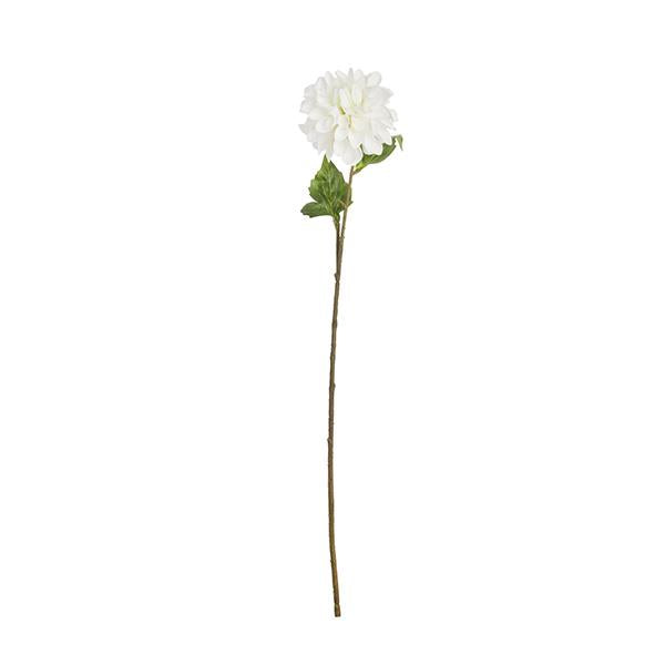 Rama Dalia Blanca