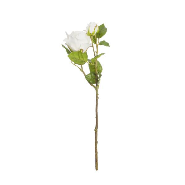Ramo Rosa