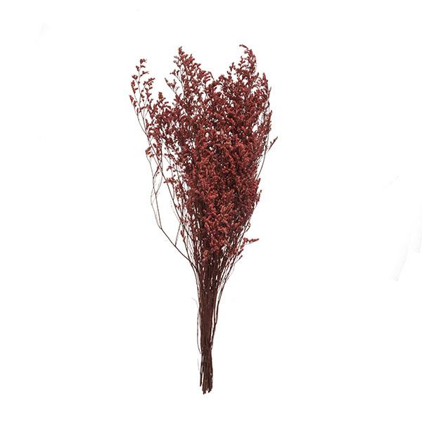 Ramo de Flores Secas Caspia 48cm Bo.