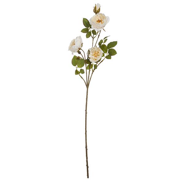 Racim de Roses