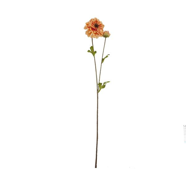 2 Zinnia Stems