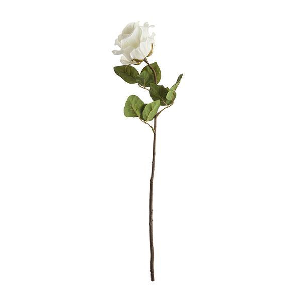 branche rose