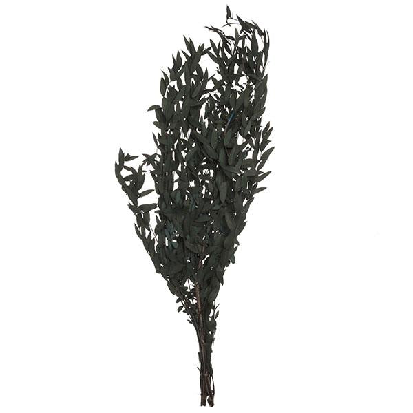 Ramo de eucalyptus