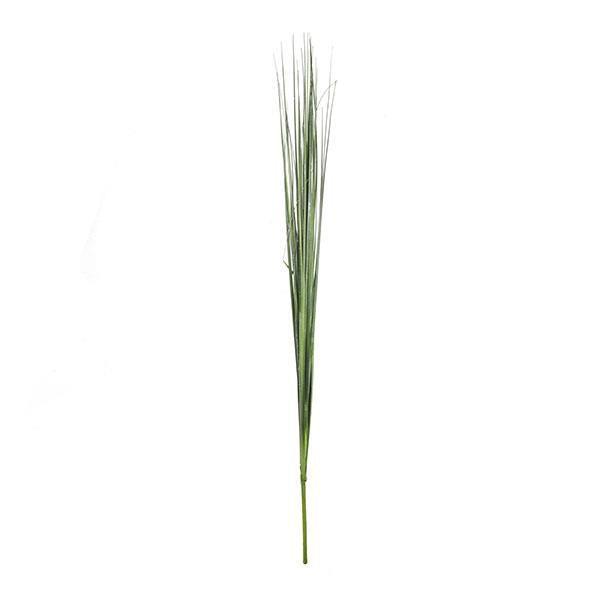 Branch isolepsis