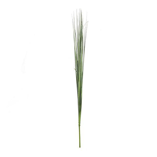 Branch isolepsis