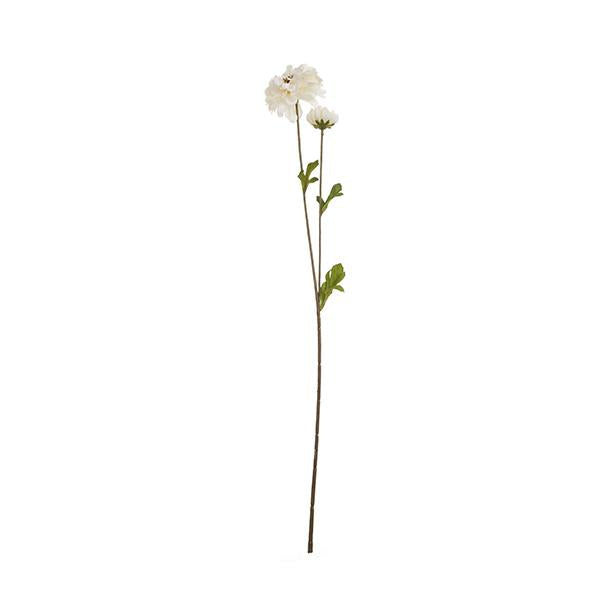 2 Zinnia Stems