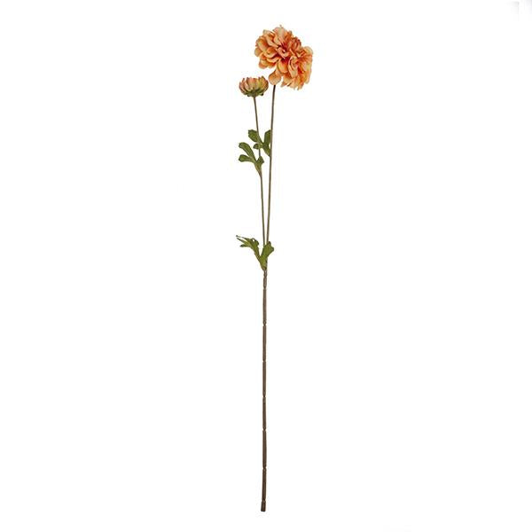 2 Ramas Dalia