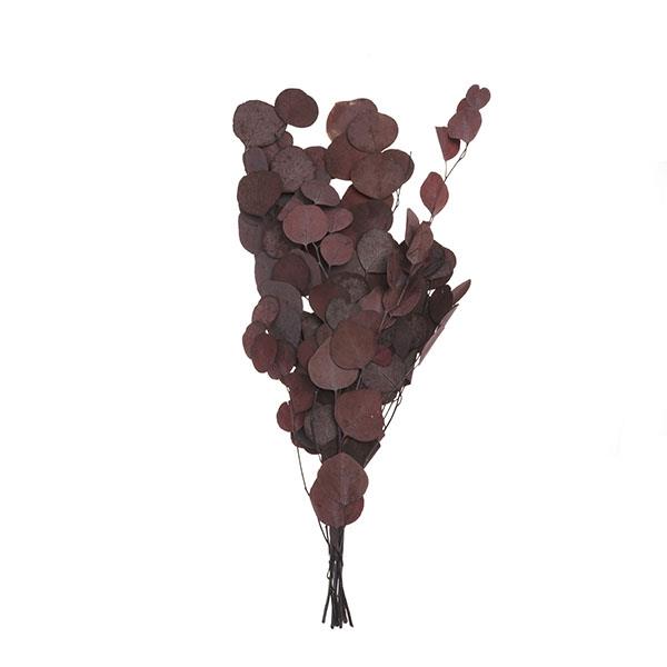 Bouquet de houx pomme 60 cm Bo.