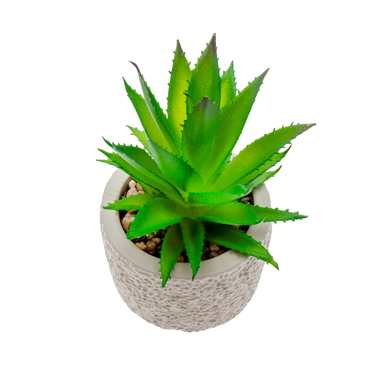 MM-229466_imagen2