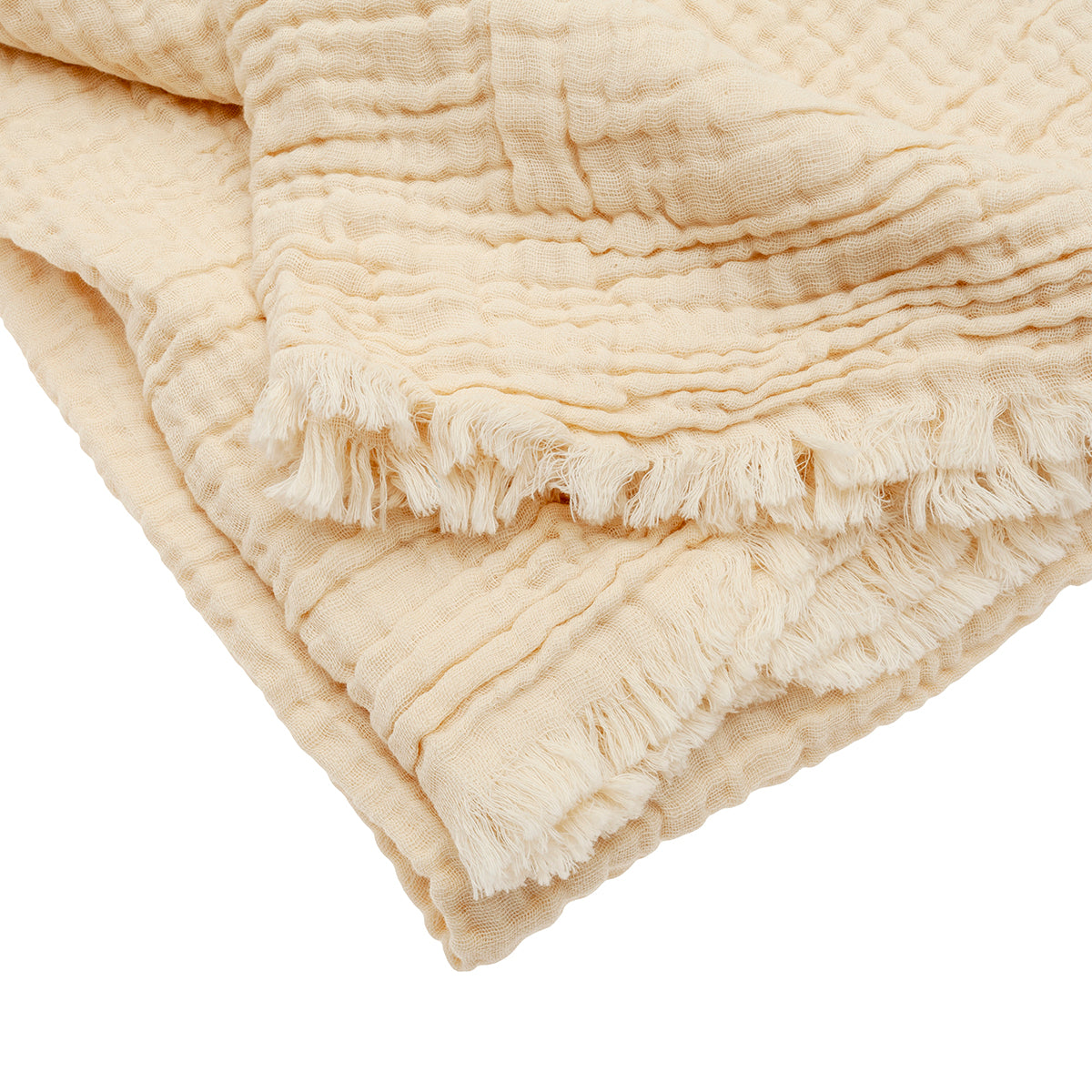 MM-230248_imagen2
