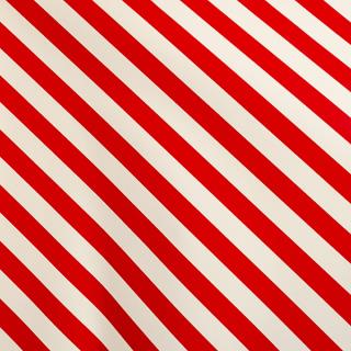 1090300188_imagen2