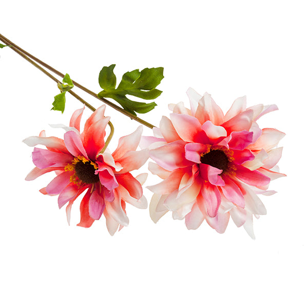 branche de dahlia