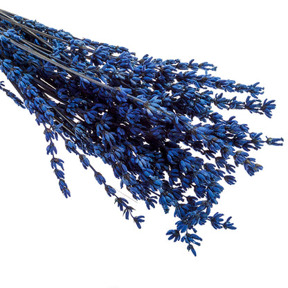 Lavanda
