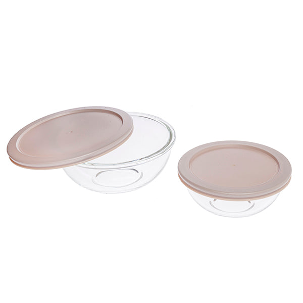Lot de 2 bols avec couvercles