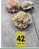 Peony Head W/Clip 13Cm Rs.