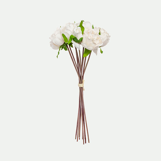 Peony bundle