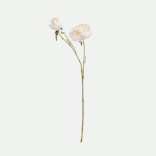 Peony
