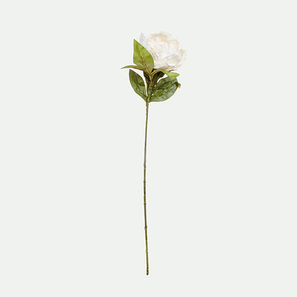 Peony