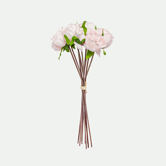 Peony bundle