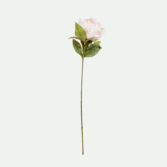 Peony