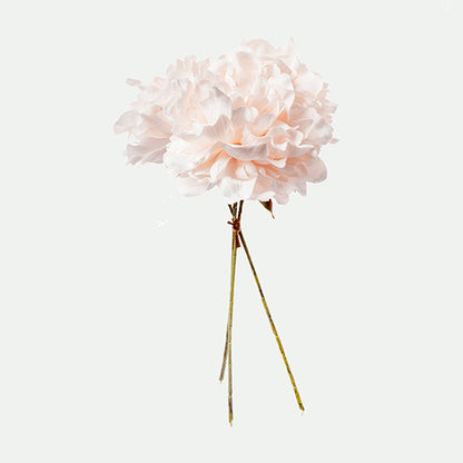 Peony bunle
