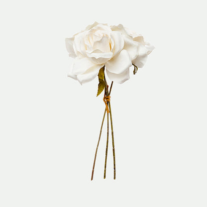Lot Rose
