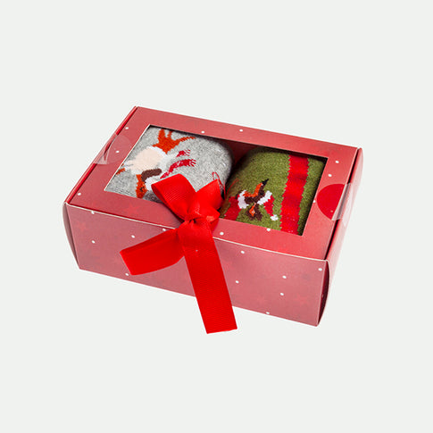 Pack of 2 dachshund xmas socks