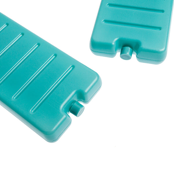 Pack of 2 ice accumulators