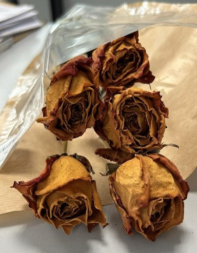 Rosa natural seca