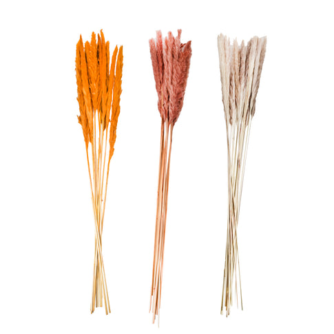 Decorative pen assortment