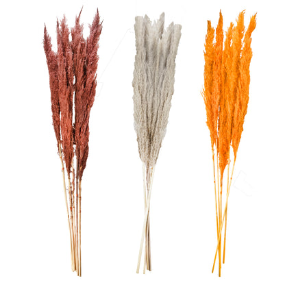 Assortiment decoratieve veer
