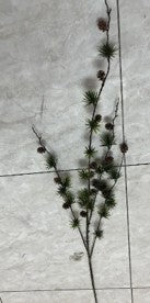 Pine branch with pine cones