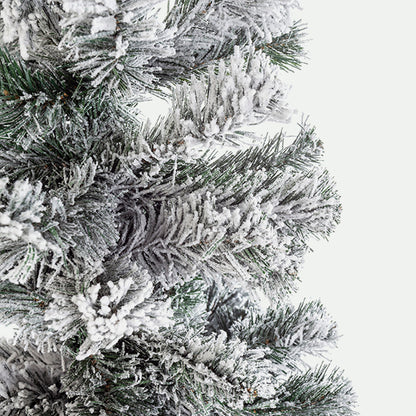 Kerstboom
